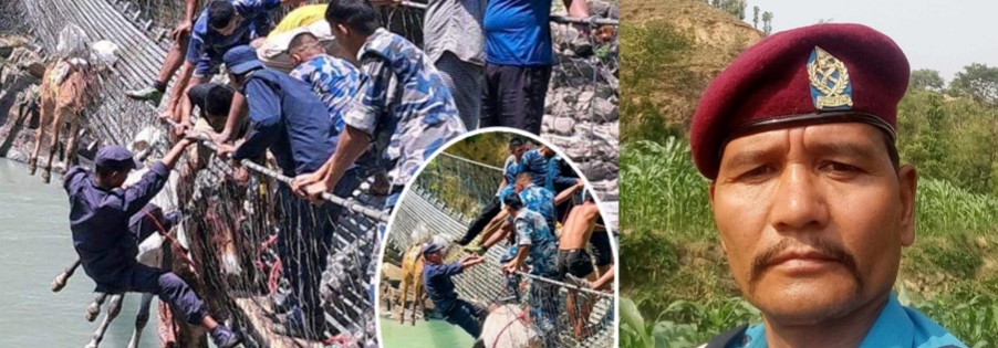 साहसी असई रामसिंहले बचाउनु भयो १३ वटा खच्चड