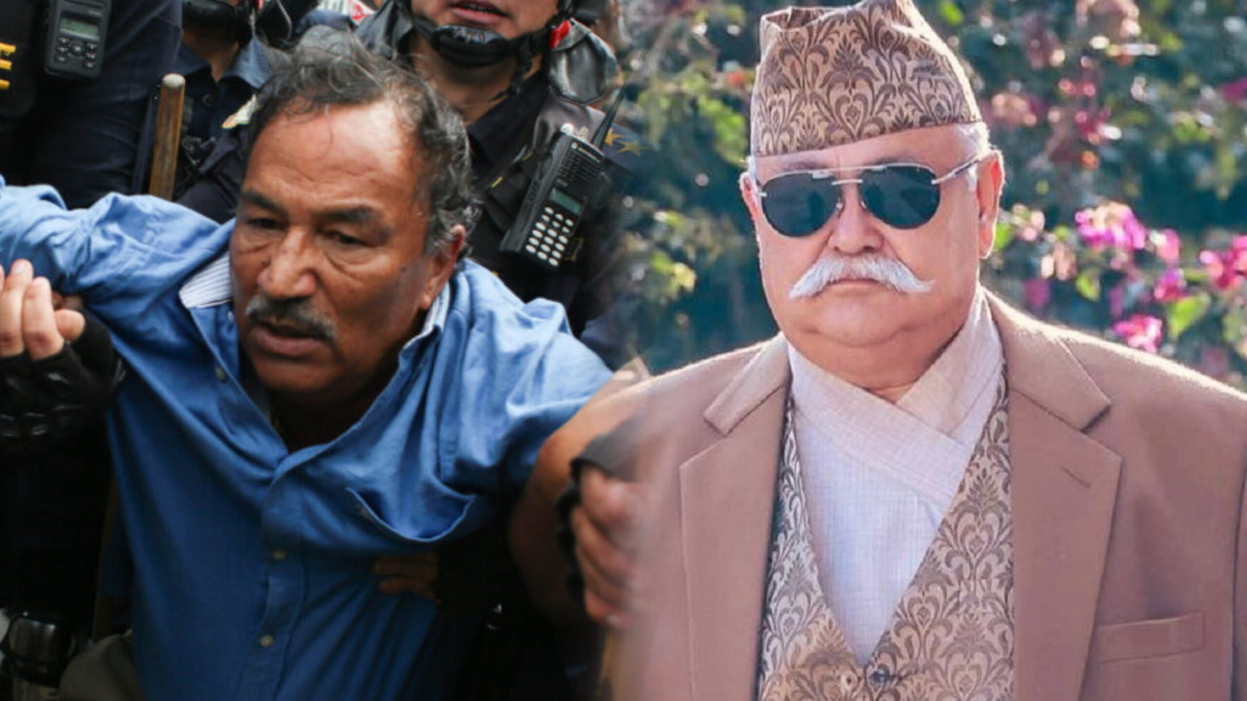 कमल थापा र दीपक सिंहसहित ७ राजावादी प्रदर्शनकारी रिहा, डा. झा हिरासतमा